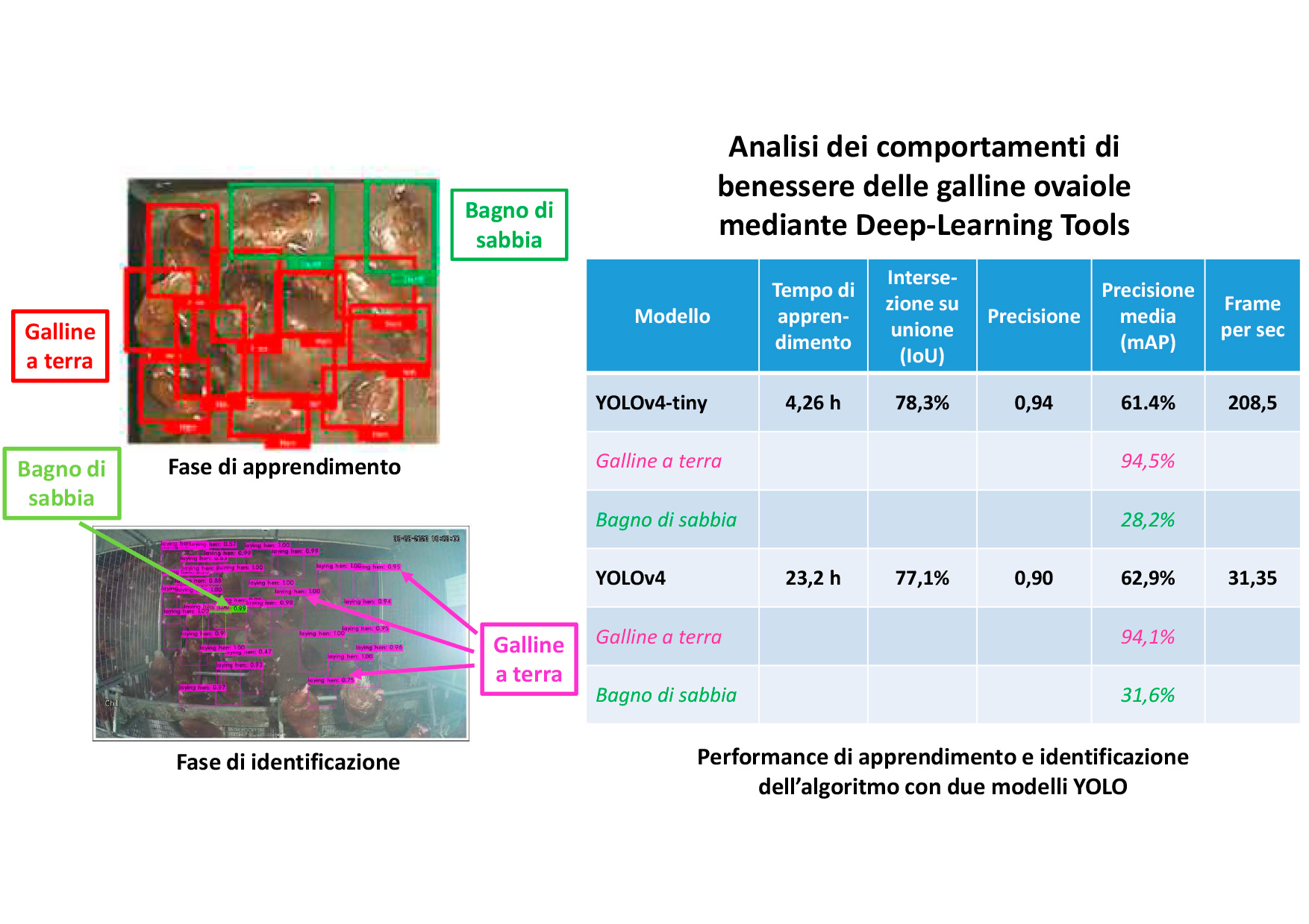 Abstract grafico della soluzione