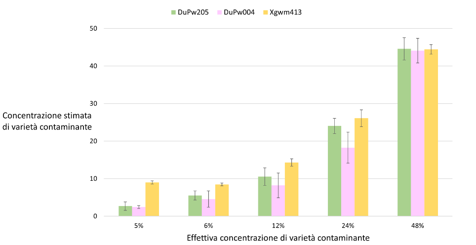 Abstract grafico della soluzione