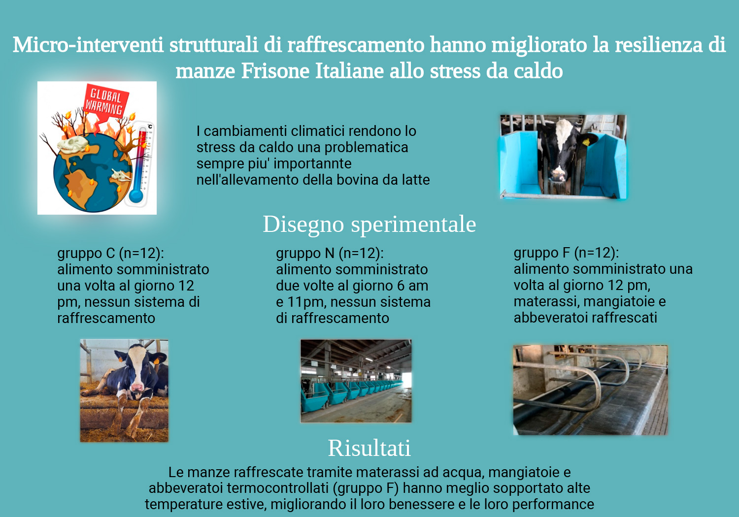 Abstract grafico della soluzione