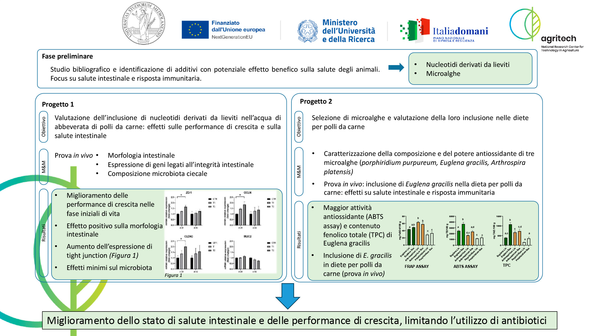 Abstract grafico della soluzione