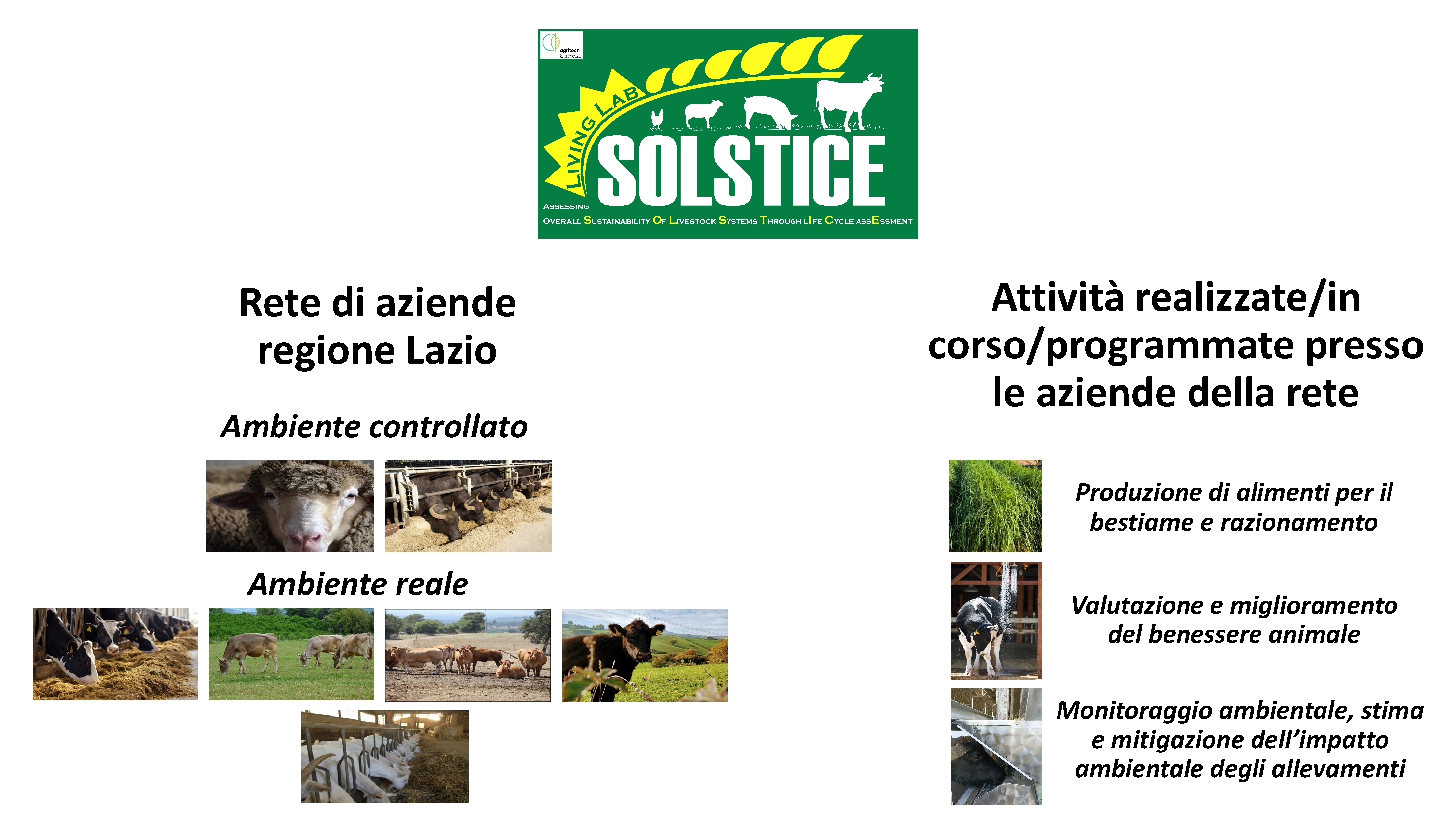 Abstract grafico della soluzione