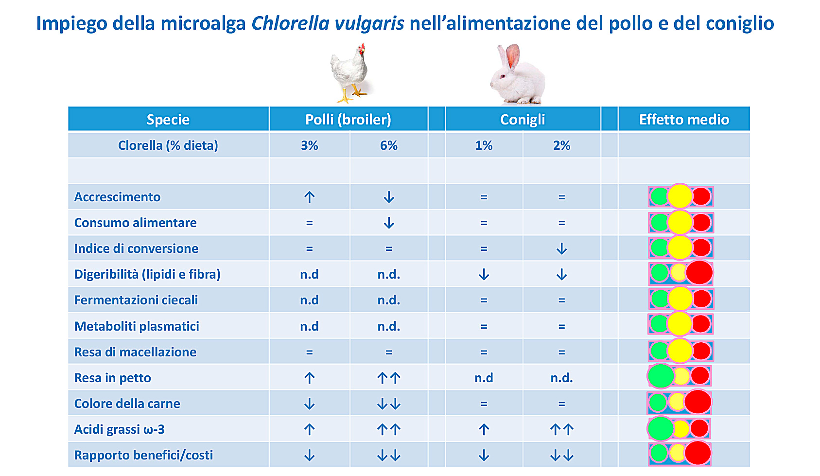 Abstract grafico della soluzione