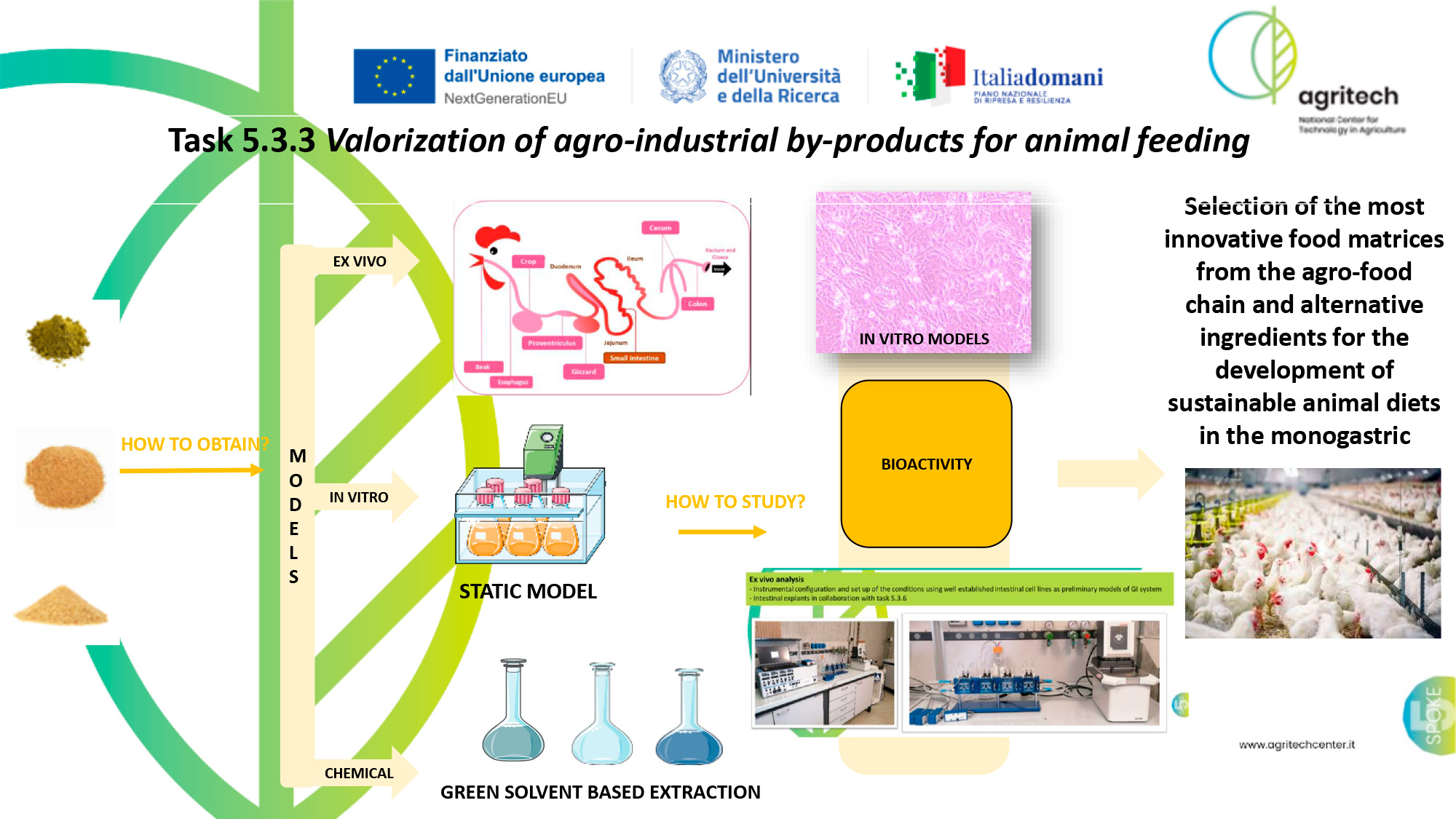 Abstract grafico della soluzione