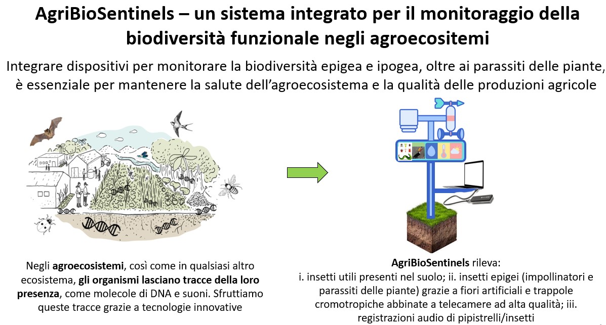 Abstract grafico della soluzione