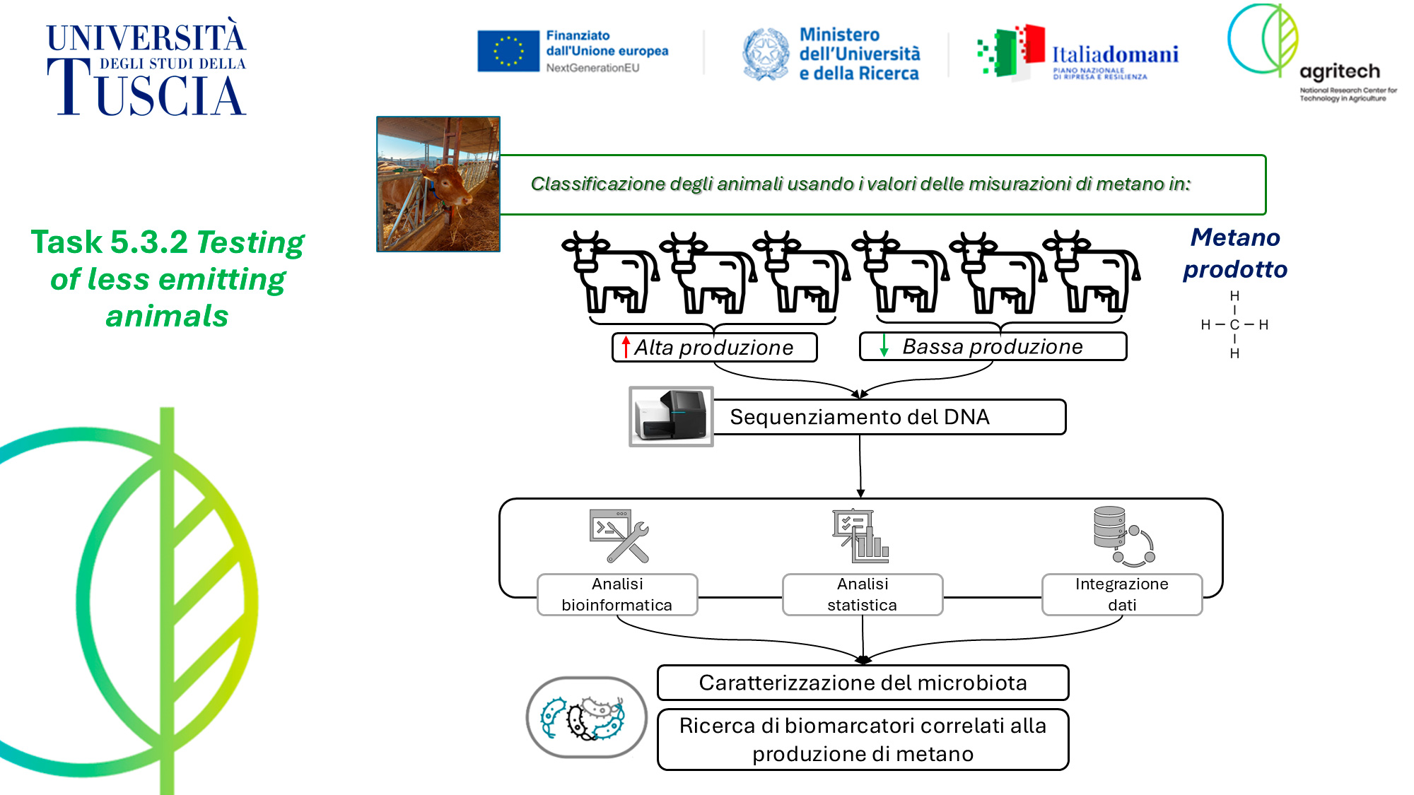 Abstract grafico della soluzione