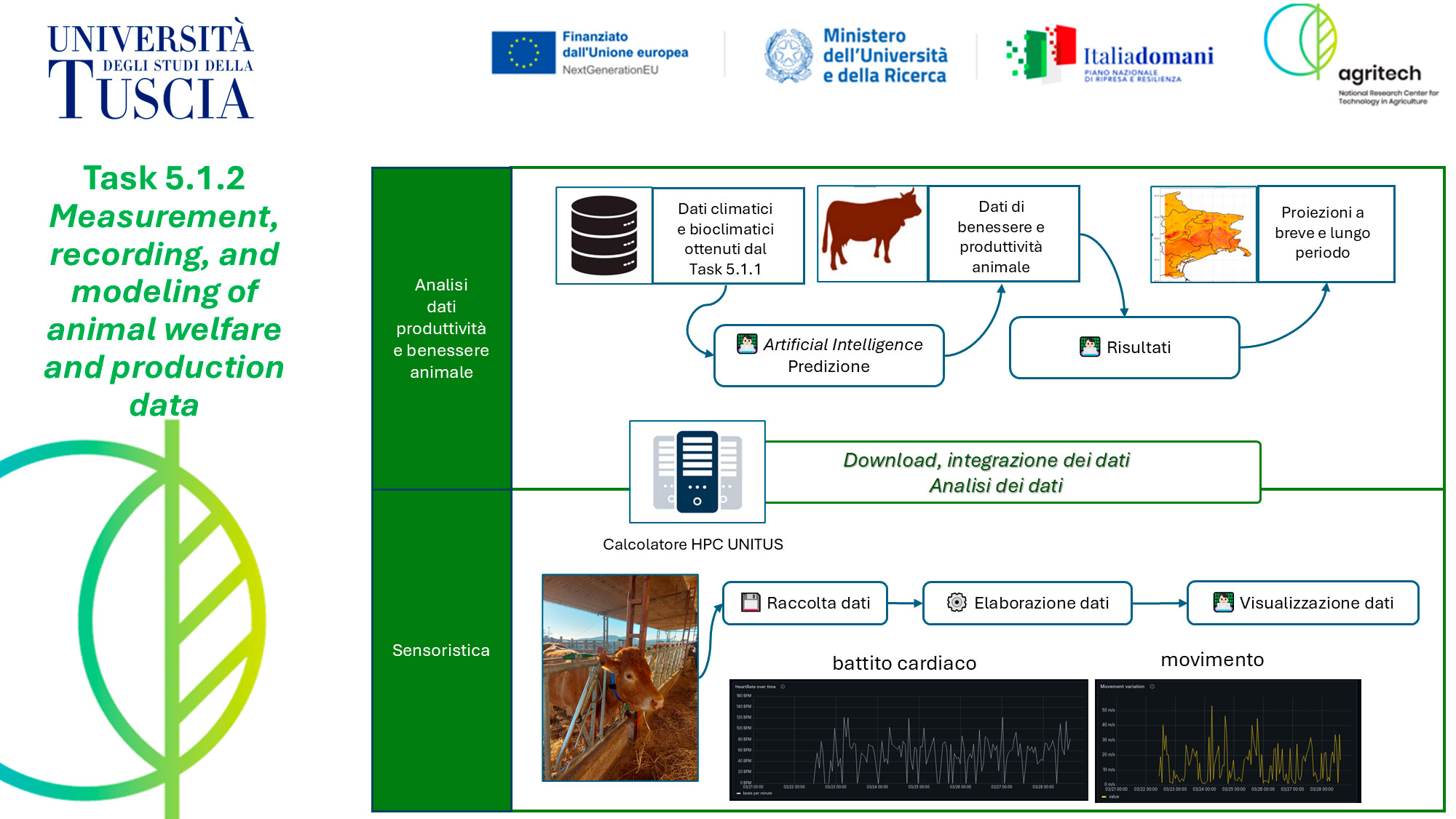 Abstract grafico della soluzione