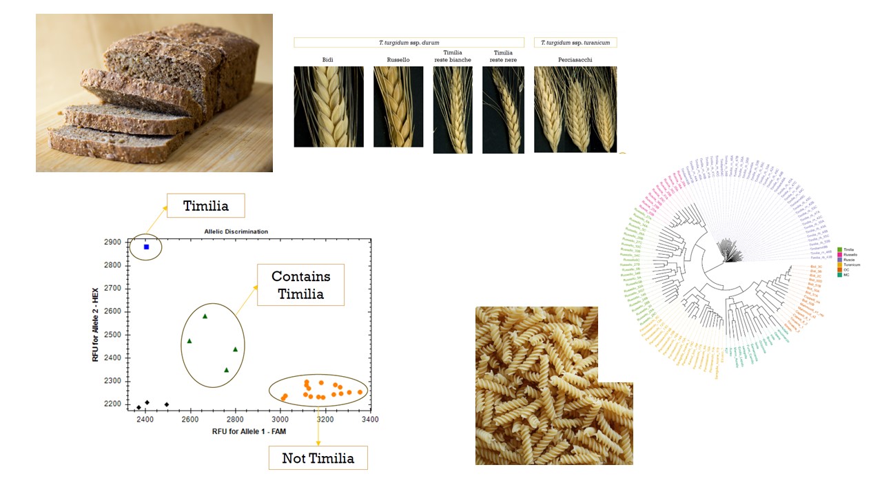 Abstract grafico della soluzione