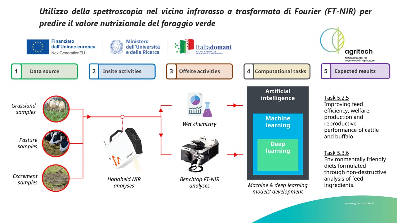 Abstract grafico della soluzione