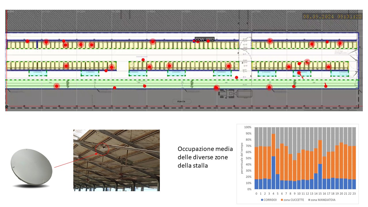 Abstract grafico della soluzione