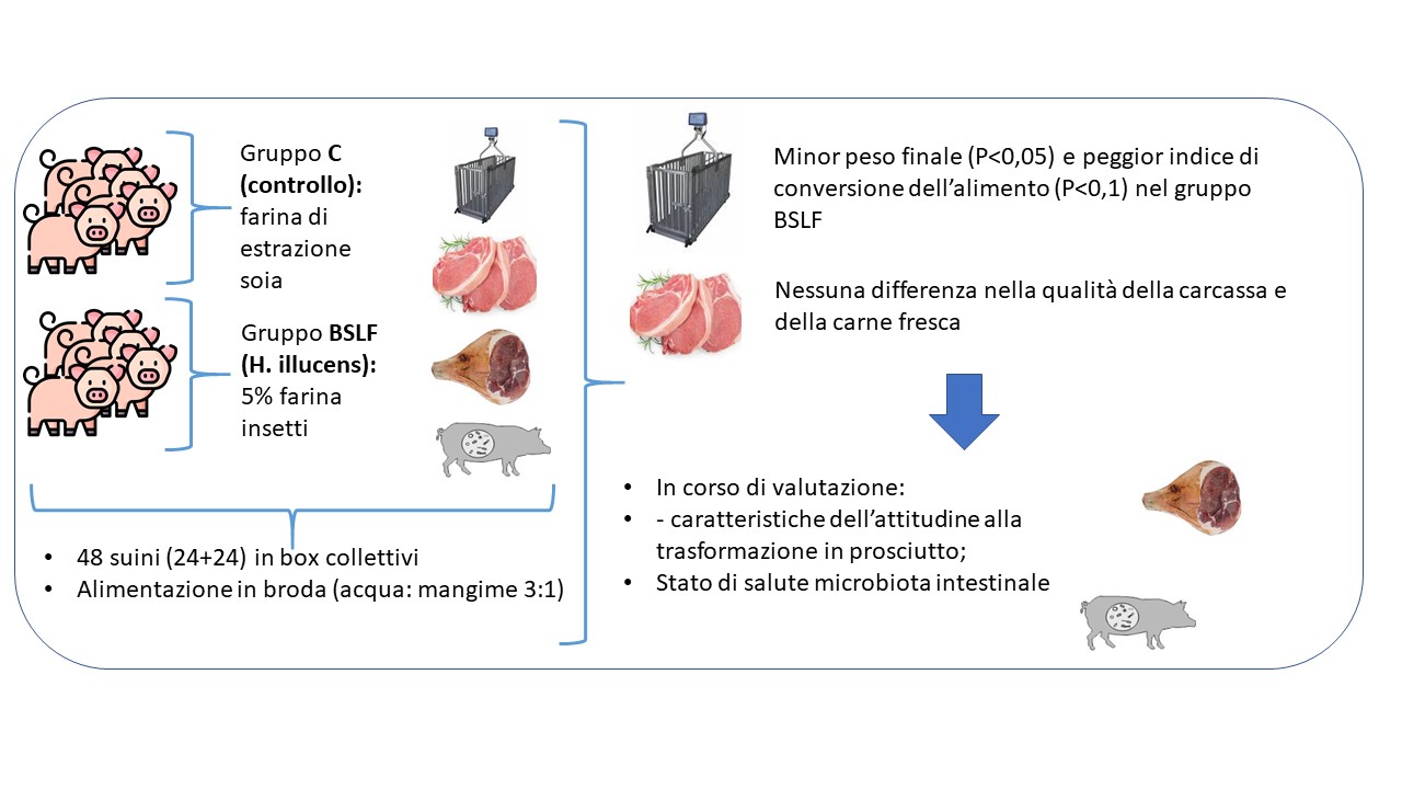 Abstract grafico della soluzione