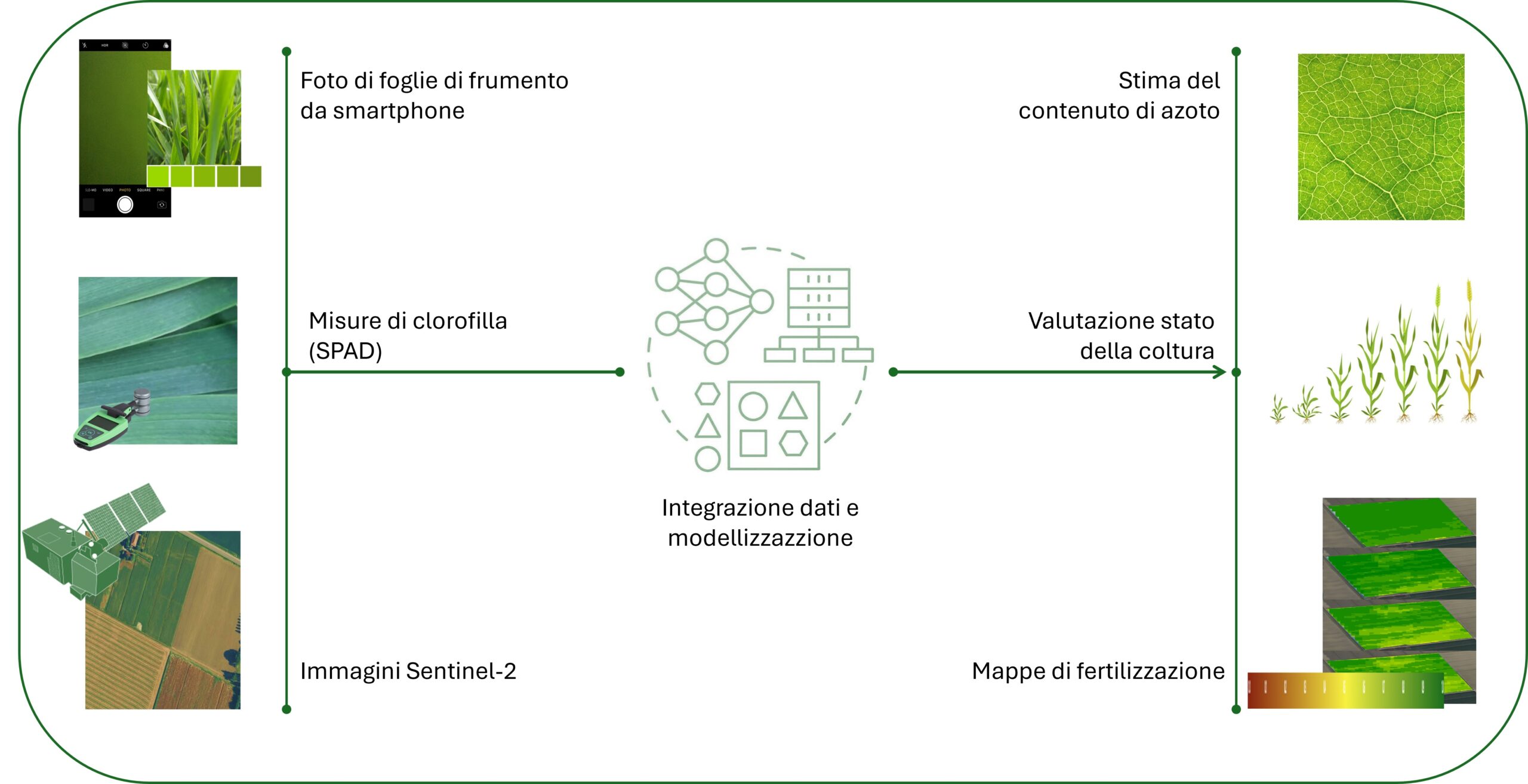 Abstract grafico della soluzione