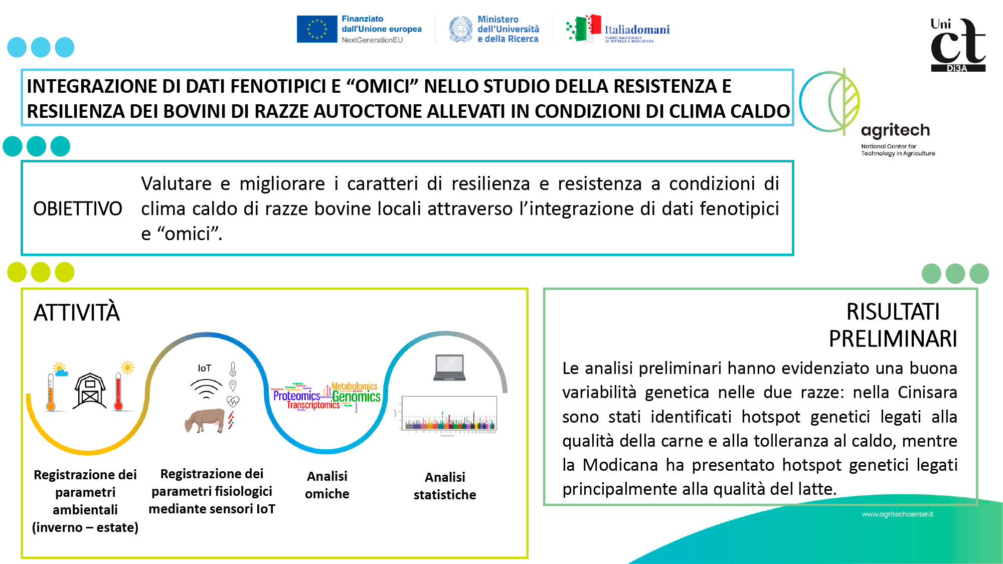 Abstract grafico della soluzione