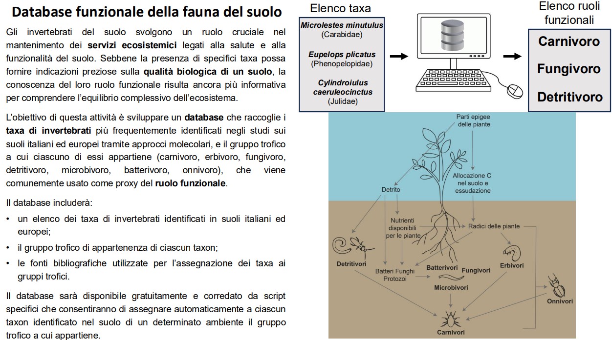 Abstract grafico della soluzione