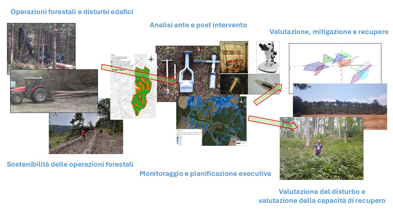 Abstract della soluzione