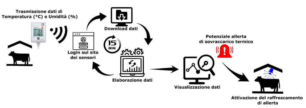 Abstract grafico della soluzione