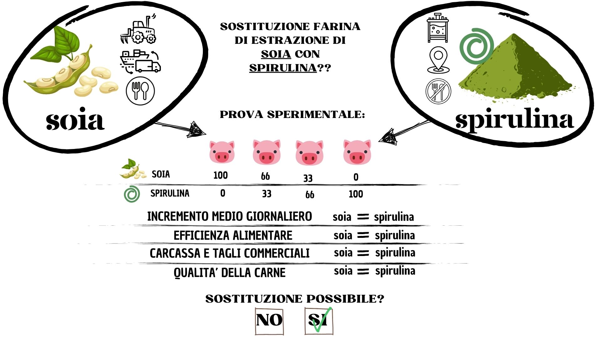 Abstract grafico della soluzione