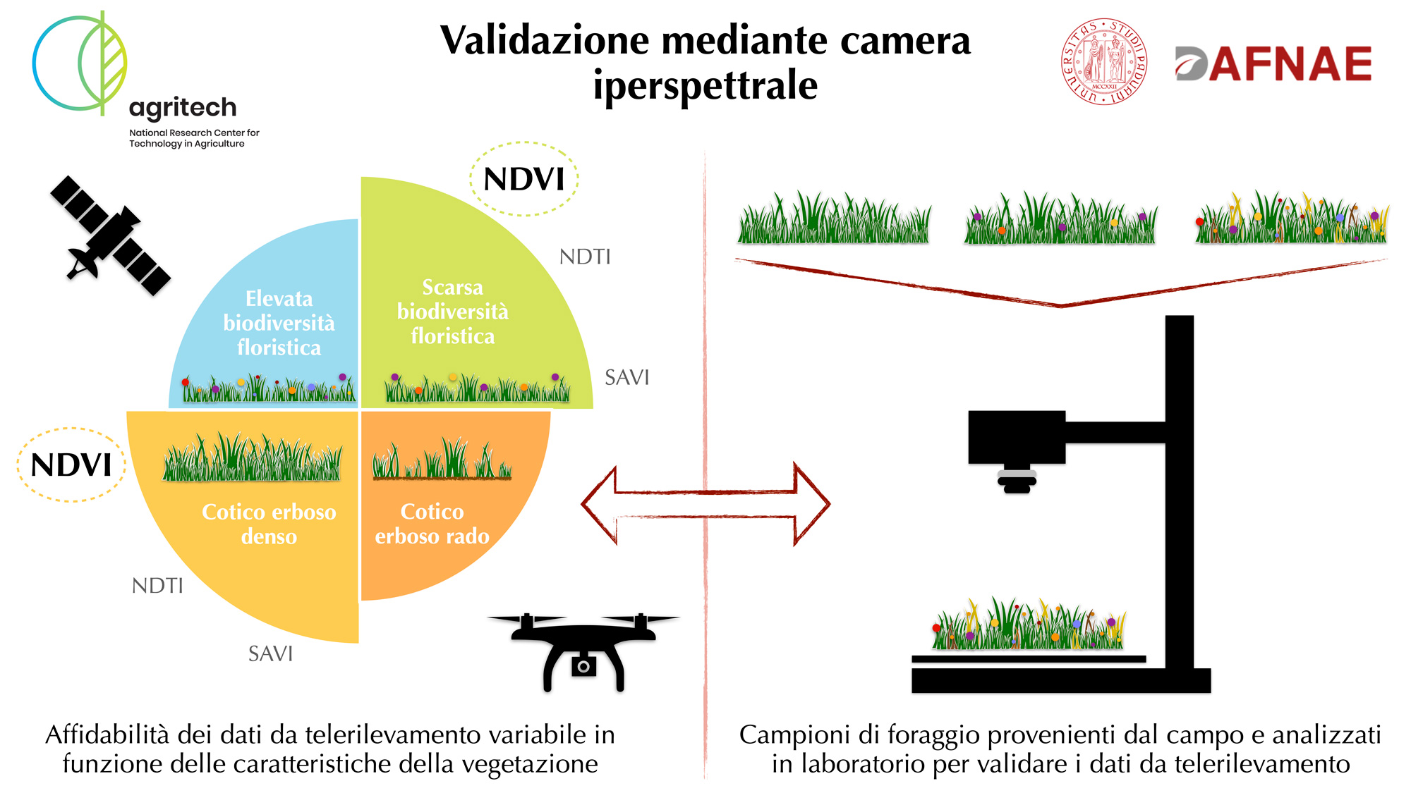 Abstract grafico della soluzione