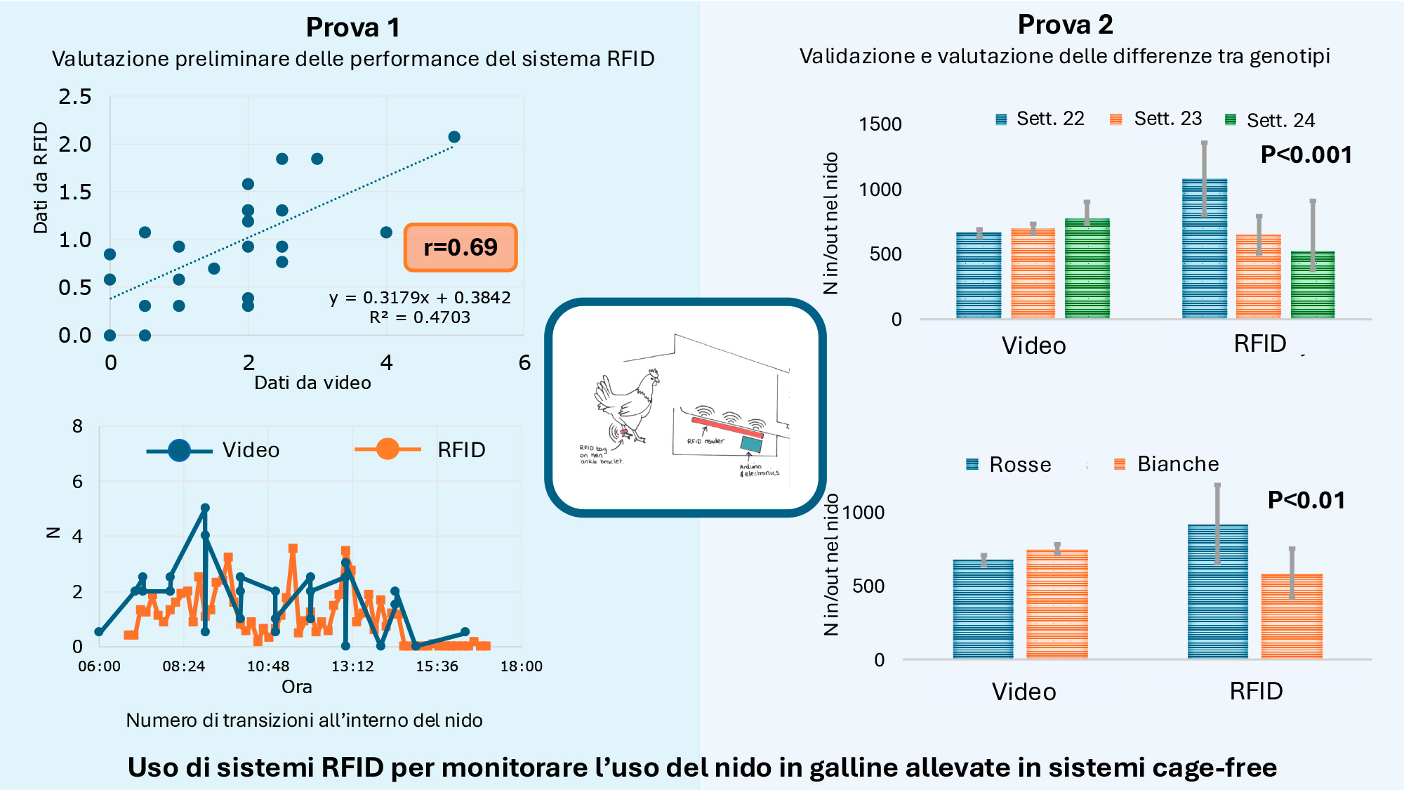 Abstract grafico della soluzione