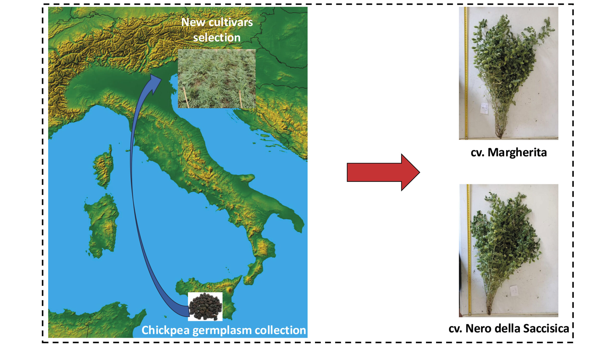 Abstract della soluzione