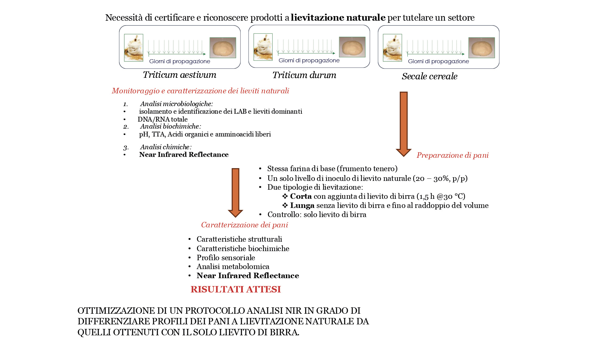 Abstract grafico della soluzione