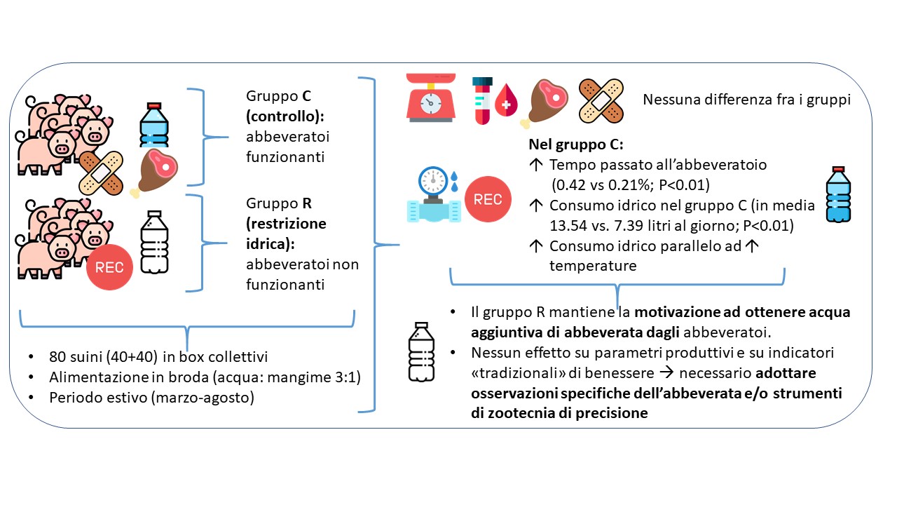 Abstract grafico della soluzione