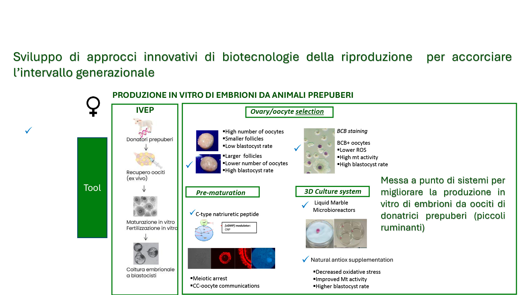 Abstract grafico della soluzione
